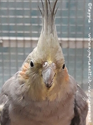 Gretel im April 2021