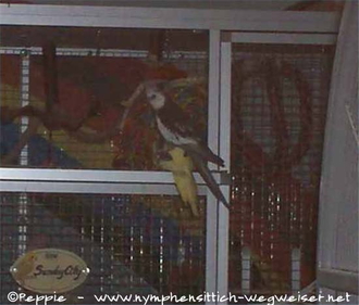 Justus auf Frau James