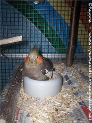 Nicki "in" ihrem Lieblingsplatz