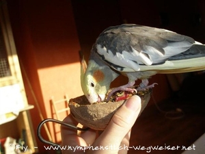 Knabberspaß garantiert