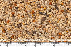 Gross-/Nymphensittich Spezial Ricos Futterkiste