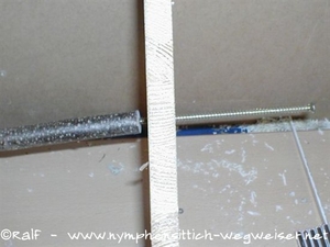 Ast mit einer Schraube befestigen