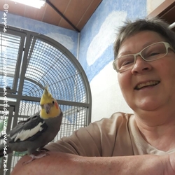 Admiral Wobbles ganz zutraulich