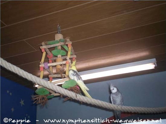 Frau James auf "Höhenflug" mit Justus
