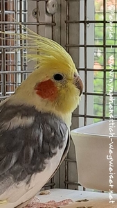 Hallo, ich bin Schnuki