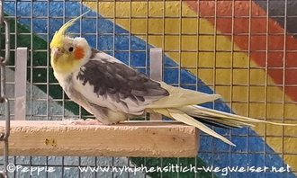 Jacky im Januar 2025