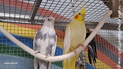 Pacy und Susi im April 2023