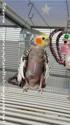 Skinny am Sun Palace