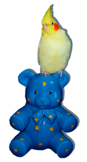Notfallsparbär