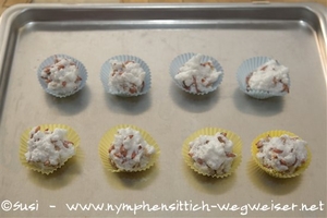 Masse auf das Backblech setzen