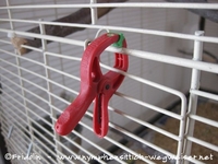 Sicherung
 Seitentür mit einer Gartenklammer