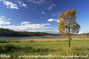 West Australien, Lake Cooby