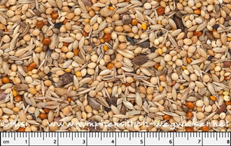 Mischung Groß-/Nymphensittich Spezial von Ricos Futterkiste