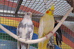 Pacy und Susi im April 2023