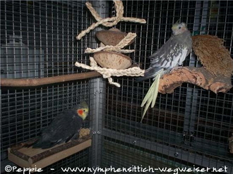 Prinz und Lilli in der Villa Sunrise