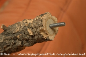 Stockschraube im Ast