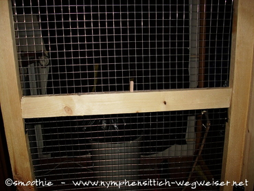 in der Voliere festgeschraubte Latte