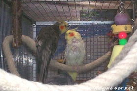 Jakob und Elisabeth Kopf an Kopf