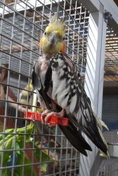 Skinny im Herbst 2019