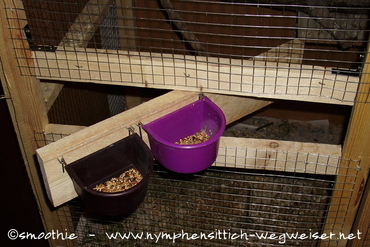 Futterdrehteller mit zwei Näpfen