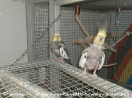 Eddi und Skinny vor der Lounge 2