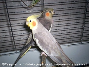 Ich bin im Vordergrund zu sehen