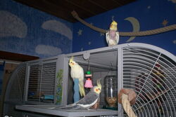 Sponcha-Maja, Micky und Piku am Sun-Palace