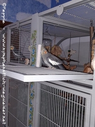 Zadie im November 2019