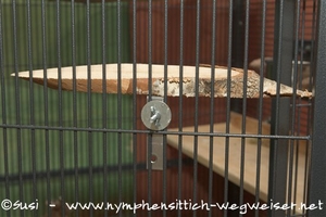 Sitzbrettchen mit Stuhlwinkel