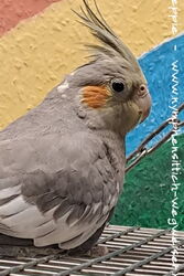 Fleur im Januar 2026