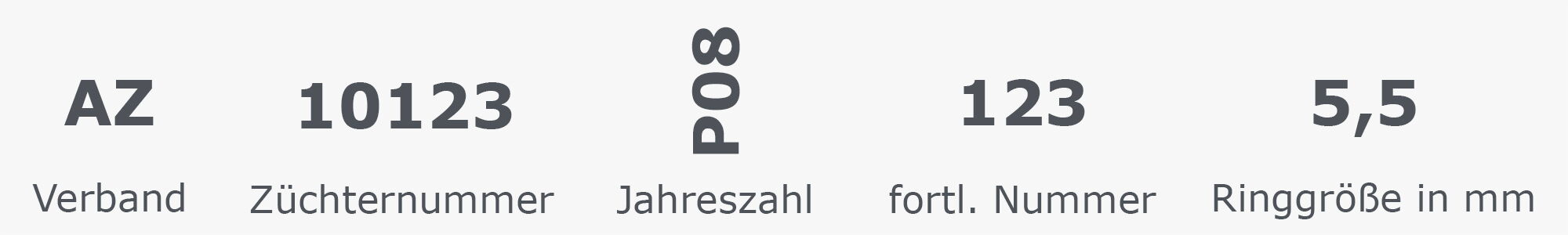 Beschriftungsmuster für geschlossene Ringe