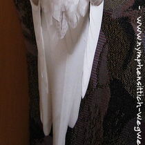 Weißkopf-Zimt-Perlschecke Weibchen - Schwanzoberseite