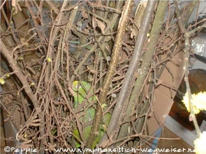 Optik - sehr gut, alles frisch!