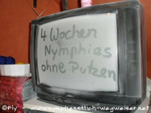 Fernseher nach dem Urlaub - 5 Nymphies