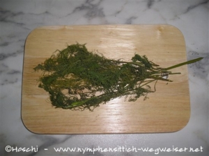Dill
