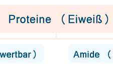 Proteine