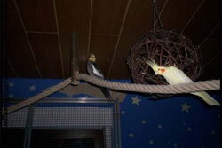 Jakob und Elisabeth auf der Deckenreling