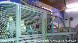 Micky auf der Anflugklappe des Sun Palace