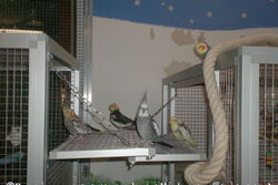 Reger Betrieb zwischen Villa und Lounge