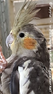 Thira im Februar 2025