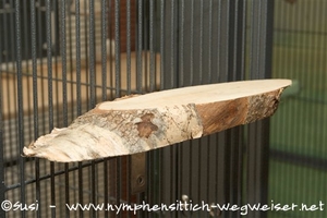 Sitzbrettchen mit Stuhlwinkel