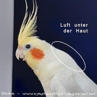 Luft unter der Haut, verursacht durch einen Luftsackriss
