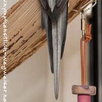 Weißkopf wildfarbener Hahn - Schwanz von oben