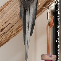 Weißkopf Kopffleckscheck Hahn - Schwanz von oben