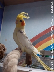 Charly im Januar 2020