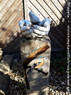 Im Garten der Vogelpension