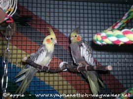 Ronja und Skinny in Sunday City-2