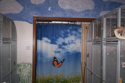 Sichtschutzvorhang im Sittichzimmer