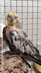 Skinny im Januar 2025