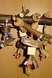 Sitzast "Happy-Play"